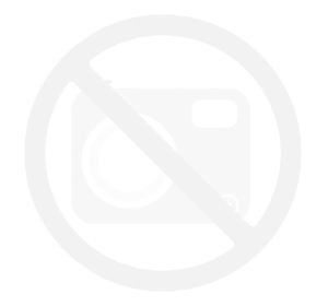 Toilet-sept-750.jpg