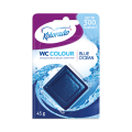 WC-COLOR-ocean-2024.png