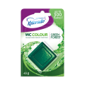 WC-COLOR-forest-2024.png